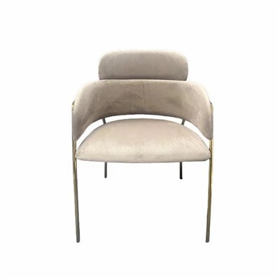 Luksuslikud raudraamiga söögitoolid